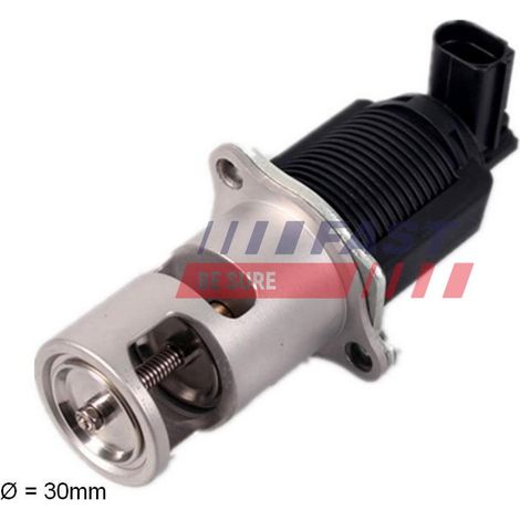 Vanne EGR rapide FT60207