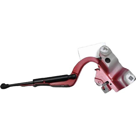 [PRODUIT D'OCCASION] Compas Gauche Capot RENAULT Zoe ♻️ Ref Oe. 654015966r - Garantie à vie (1/3)