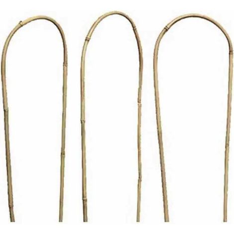 Rankhilfe 60 cm 3er Bund Bambus, U-Form, Ø 8-10 mm
