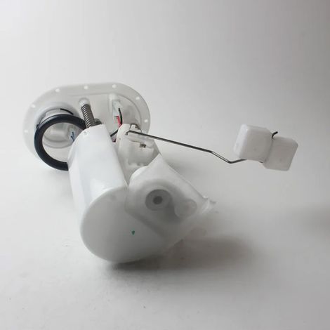 46443198 46767419 are intended for Fiat Palio 1.4 fuel pump assemblies.--BIEMMEDUE (1/4)