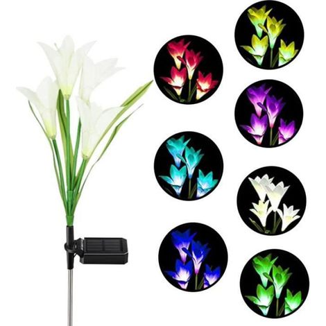 Lumières solaires - - Fleurs de lys - LED multicolores - Décoration jardin - Énergie solaire (1/4)