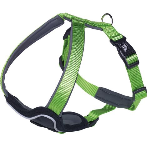 Nobby Comfort - Stoviglie Classic Preno, colore: Verde/Verde, L: 30-35 cm, larghezza: 15 mm, 1 pezzo (1/3)