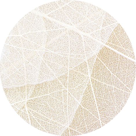 papier peint panoramique rond adhésif feuilles beige et blanc - Sanders & Sanders (1/4)