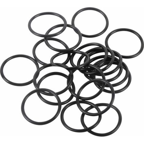 O-ring