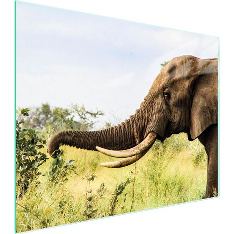 Planche à découper en verre 52x40 éléphant (1/5)