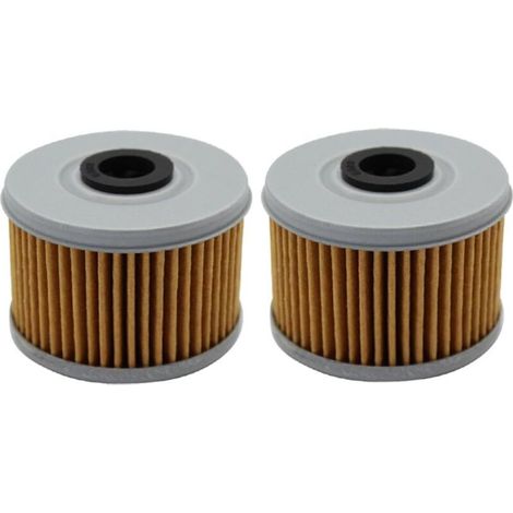 Filtre à huile pour XL125V XL125 V VARADERO 125 2001 2002 2003 2004 2005 2006 2007 2008 2009 2010/XL125V VARADERO DE LUXE 2011 (Lot de 2) (1/4)