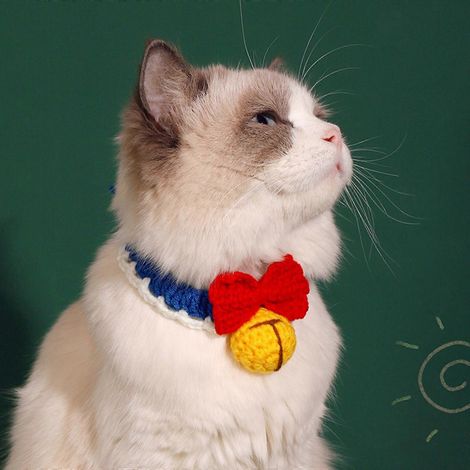 Collier décoratif pour chat, tricoté et personnalisé, facile à porter et -M- (1/4)