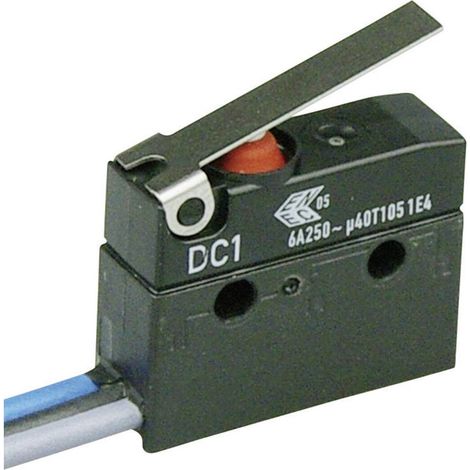 ZF DC1C-C3LB Microrupteur DC1C-C3LB 250 V/AC 6 A 1 x On/(On) IP67 à rappel 1 pc(s) D71381 (1/2)