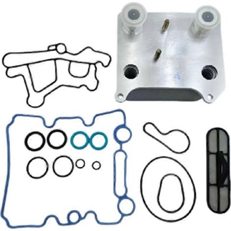 Kit refroidisseur d'huile moteur 6.0L 3C3Z-6A642-CA 3C36A642CA pour Ford F-250 F-350 F-450 F-550 03-07 E-350 E-450 Radiateur d'huile (1/5)