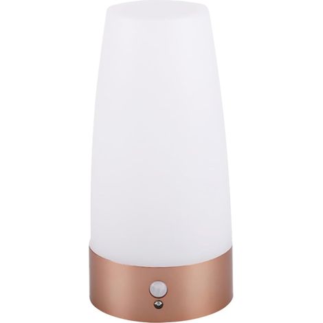 Lampe Ronde Détecteur de Mouvement LED sans Pile, Veilleuse Compacte pour Chambre et Couloir Éclairage Automatique pour Usage Domestique (1/5)