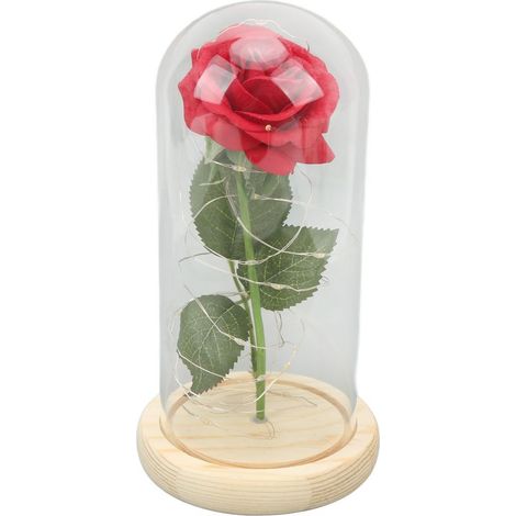 Rose unter einer Glaskuppel, ein romantisches Glückssymbol, verzauberte Rose mit LED-Licht zum Valentinstag, grüne Blätter und Färberdistel (1/5)