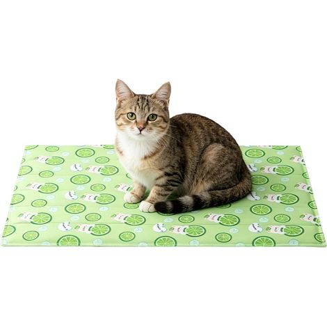 Tapis rafraîchissant pour chien pour l'extérieur et les déplacements - Matelas en PVC antidérapant pliable réutilisable - Tapis de couchage particulièrement frais : chiens et chats - Convient pour les (1/5)