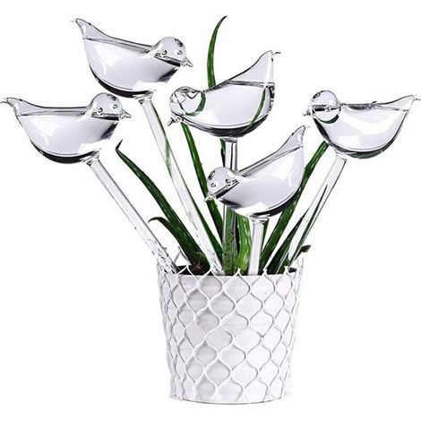 5 Pièces Boules d'Arrosage en Verre Transparent Auto-Arrosants pour Plantes d'Intérieur et d'Extérieur (1/4)