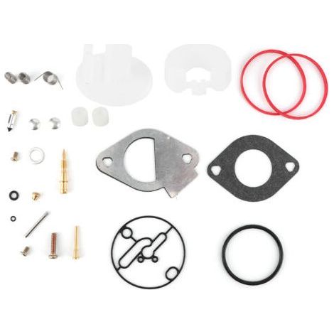 Kit de réparation carburateur pour moteurs Briggs & Stratton 796184 796081 790727 –Installation simple –Inclus joints et pièces nécessaires (1/5)