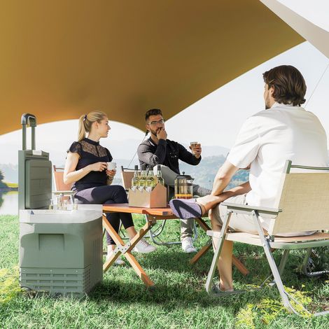 Glacière électrique portable 40 L réfrigérateur de voiture portable modes ECO/MAX poignée télescopique 61x39x49.5cm gris