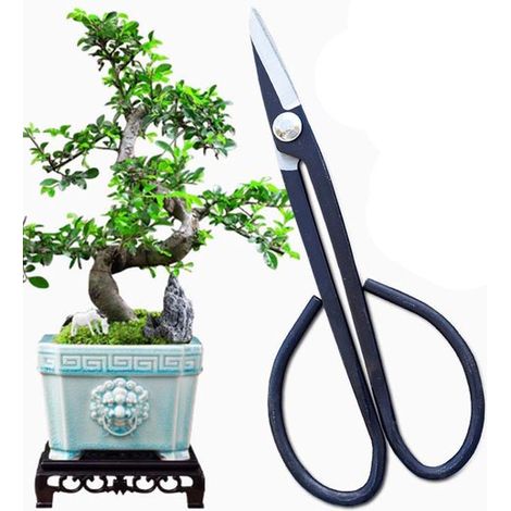 Gartenschere Stahl Gartenschere Für Blumenzweige Obstbäume Veredelung und Schnitt (1/5)