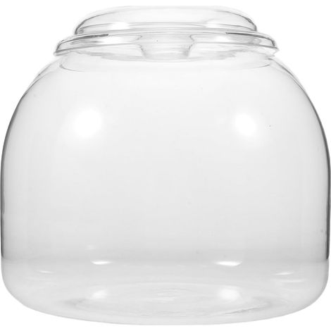 Terrarium Pflanzgefäß aus Klarglas Sukkulenten Terrarium mit