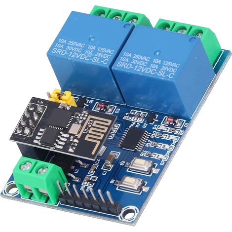 ESP8266 Dual-Channel 12V WLAN-Relaismodul, Fernsteuerung per Mobil-App für Smart Home IoT (1/5)