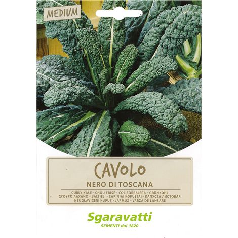 SEMI PER ORTAGGI E VEGETALI cavolo nero di Toscana- 20 pezzi - SGARAVATTI