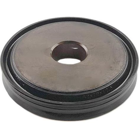Pistón  103241, 115927, 1291085, 1315312020, 5001843025, 81327390027, ZF 0501 324 670