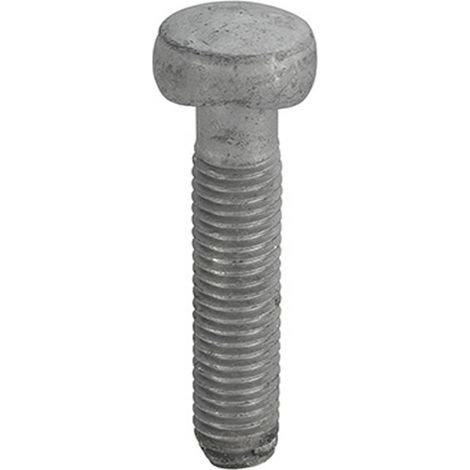 Saddle Bolts Galv M8 x 40 - Box of 100 (1/2)