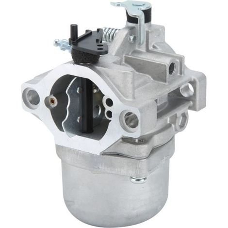 SALALIS Vergaser für Briggs & Stratton 799728 498027 499161 (1/5)
