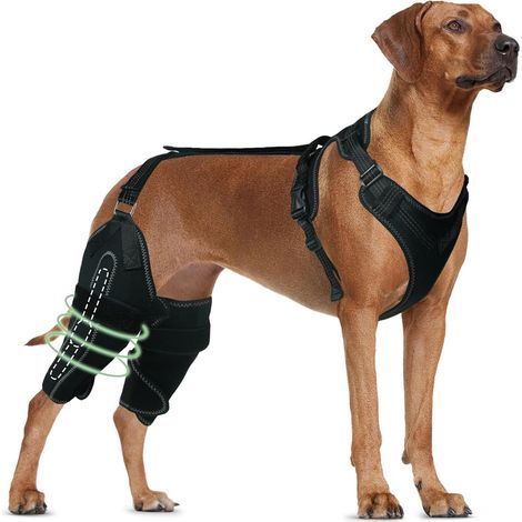 1 attelle pour genou chien, orthèse ajustable pour pattes arrière, soutien contre luxation rotulienne, dysplasie de la hanche et arthrite canine (1/5)