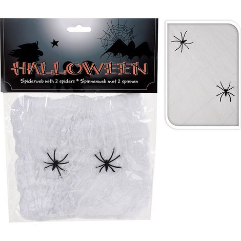 Toile D'araignée Halloween Avec 2 Araignées 50x40cm (1/2)