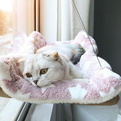 Fensterplatz für Katzen – Stabiler Rahmen mit starken Saugnäpfen – Herausnehmbare Stoffmatte – Für Wohnungskatzen – (1/3)