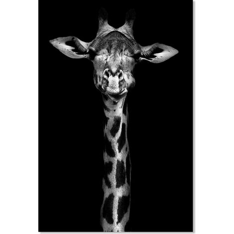 Affiche Girafe en noir et blanc - 40x60cm - made in France (1/5)