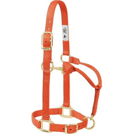 verstellbarer Nylon-Pferdehalfter, 2,5 cm dreifach verstärkt, Messingbeschläge (1/2)