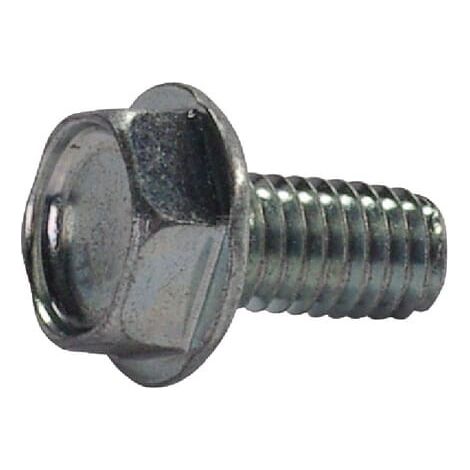 Vite per flangia M6x1:12 mm MTD 71004203A