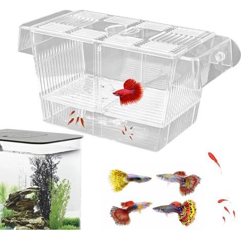 Isolierbox aus transparentem Acrylglas mit verstellbaren Saugnäpfen für Betta-Jungfische, Guppys, Garnelen und Aquarien (1/5)