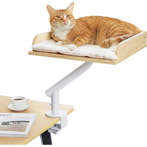 Lit de chat pour bureau, lit de chat en bois pour intérieur, panier pour chat, pivotant et réglable en hauteur, hamac pour chat à gratter (1/5)