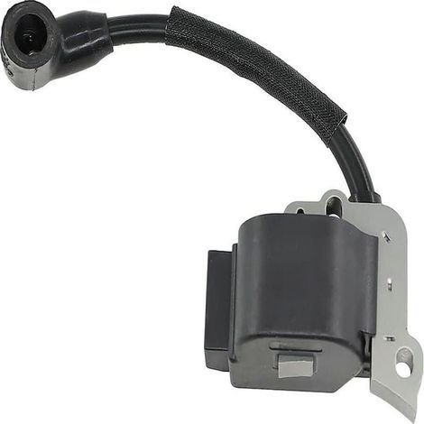 Bobine d'allumage haute tension compatible avec 753-04324 316794790 316794791 (1/3)