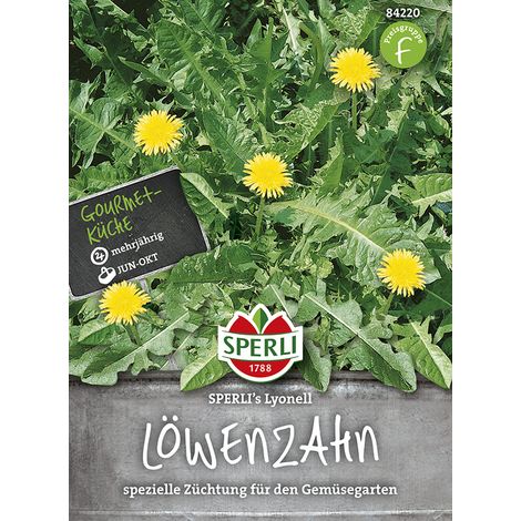 Sperli Löwenzahn SPERLI´s Lyonell - Blumensamen (1/2)