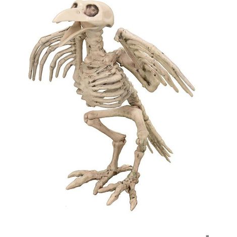 Décoration squelette de corbeau 19.5 cm Halloween (1/5)