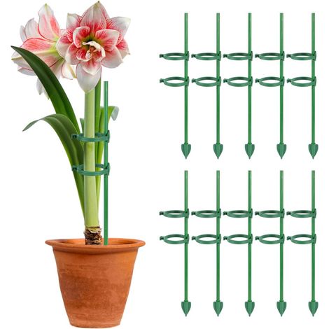 Tuteur pour Monstera, lot de 10, en mousse, avec 20 attaches et 10 supports, 30 cm, pour intérieur. (1/5)