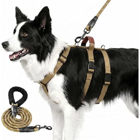 Harnais pour chien - Kaki, taille L (1/5)