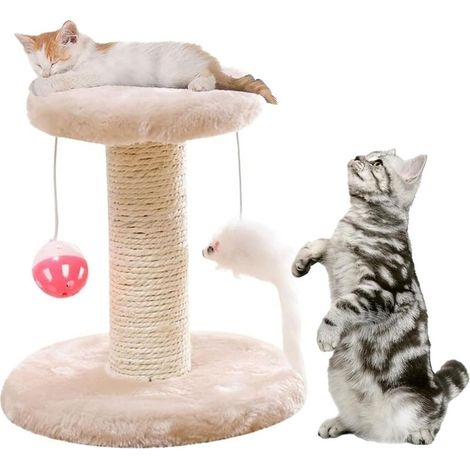 Arbre à Grimper Griffoir pour Chats,Arbre à Chat avec Plateforme en Peluche,Arbre à Chat,Griffoir pour Chats (1/5)