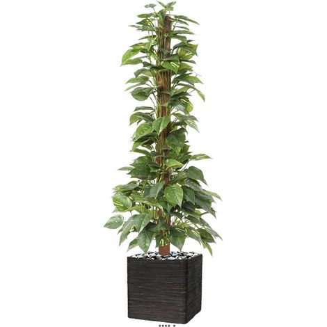 Pothos artificiel sur tuteur en pot très dense H 130 cm vert-blanc (1/3)