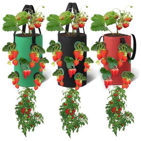 Set of 3 hanging planter bags, with 12 holes, breathable, for strawberries, herbs, flowers and vegetables, 20 x 35 cm (red, black and green)