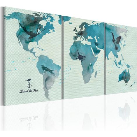Tableau Imprimé "Carte Ornithologique du Monde" 30 x 60 cm (1/2)