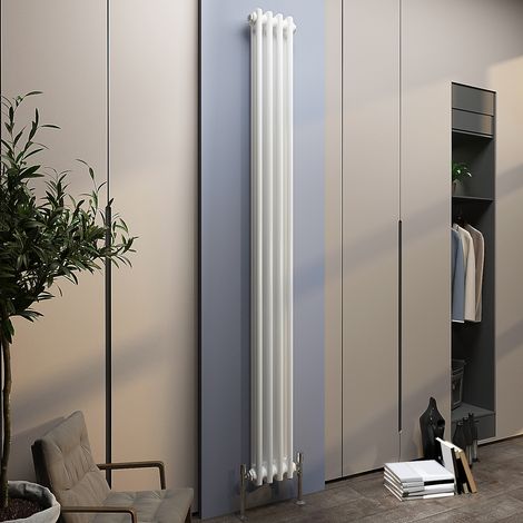 Biubiubath Traditional Cast Iron Radiator 1800x200mm 2 Column White (1/5)