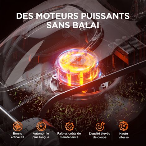 Litheli – Tondeuse à batterie 33 cm – Moteur Brushless – 5 hauteurs réglables – Bac 30 L – Pour pelouses jusqu'à 500 m²