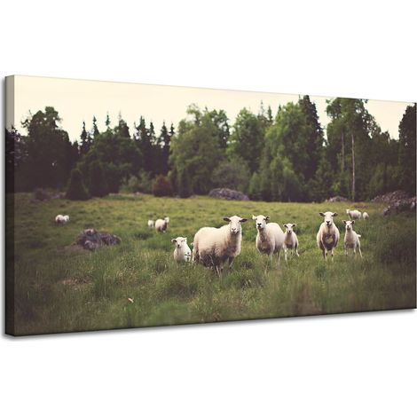 Lienzo impreso Naturaleza Ovejas en el pasto 120x60