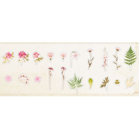 40 autocollants botaniques PET multifonctionnels à motif floral et feuillage pour manuel type 3 (1/5)