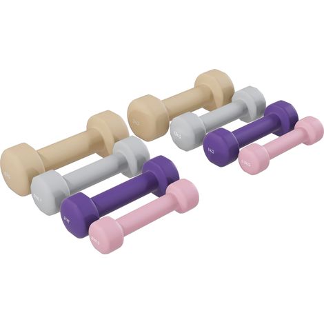 HOMCOM Set di Manubri da 10kg Totale con Valigetta e 8 Manubri in Metallo
