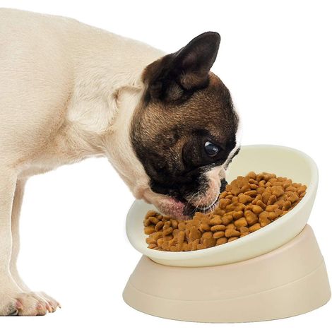 Gamelle inclinée pour bouledogue français, gamelle d'eau et de nourriture antidérapante pour carlin, bouledogue français, shih tzus, chiens à face plate et chat (1/5)