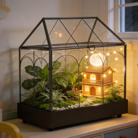 Terrarium pour Plantes, 24,2 x 14,7 x 29 cm Terrarium géométrique en Verre avec bac de récupération, boîte fermée pour micro-paysages, idéale pour succulentes et fougères (Plantes non incluses) (1/5)